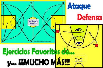 NUEVO CONTENIDO en la sección EJERCICIOS