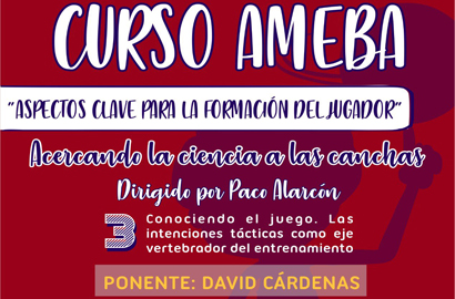 CURSO AMEBA. Conociendo el Juego